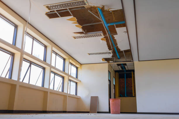 Best 24/7 water damage repair  in Tyrone, PA