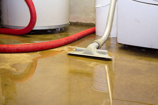 Best Flooded house restoration  in Tyrone, PA
