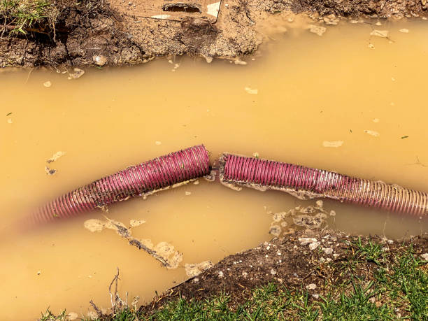 Best Flood damage cleanup  in Tyrone, PA